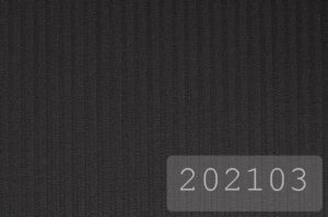 202103