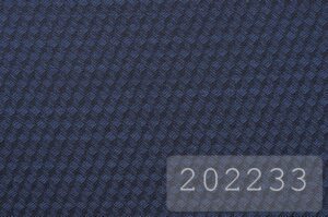 202233