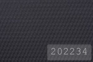 202234