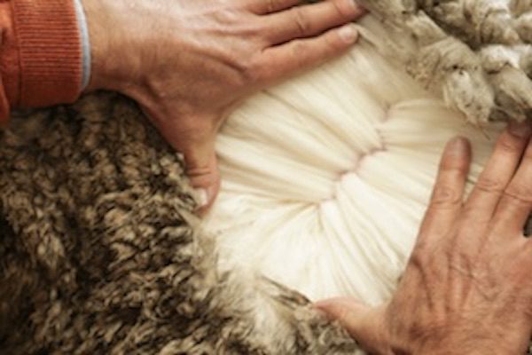 Fabric Wool